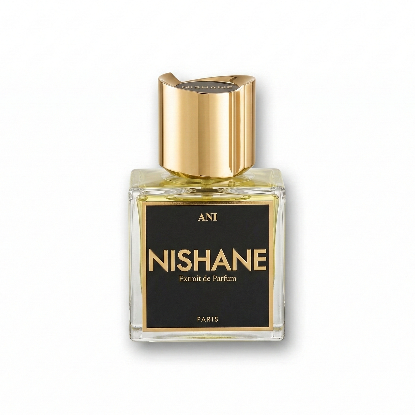 Bottle of Nishane Ani Extrait fragrance on a white background with soft shadow