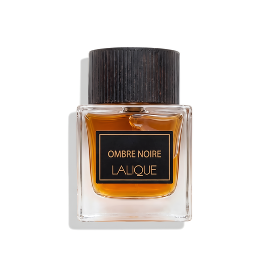 Bottle of Lalique Ombre Noir EDP fragrance on a white background with soft shadow