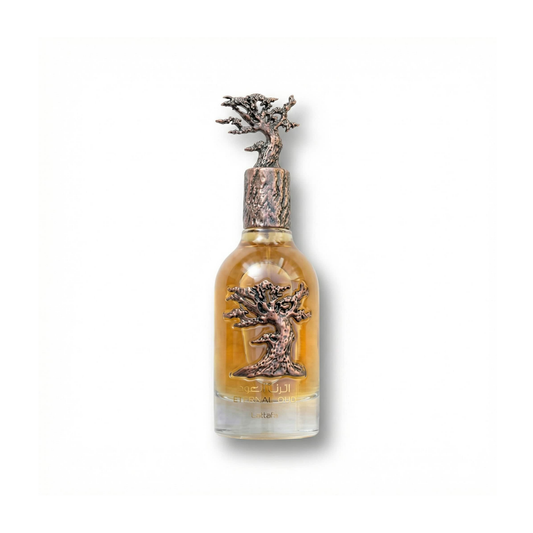 Bottle of Lattafa Eternal Oud EDP fragrance on a white background with soft shadow