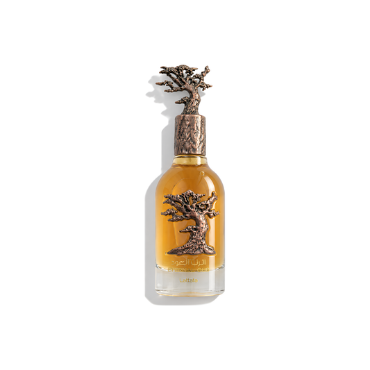 Bottle of Lattafa Eternal Oud EDP fragrance on a white background with soft shadow