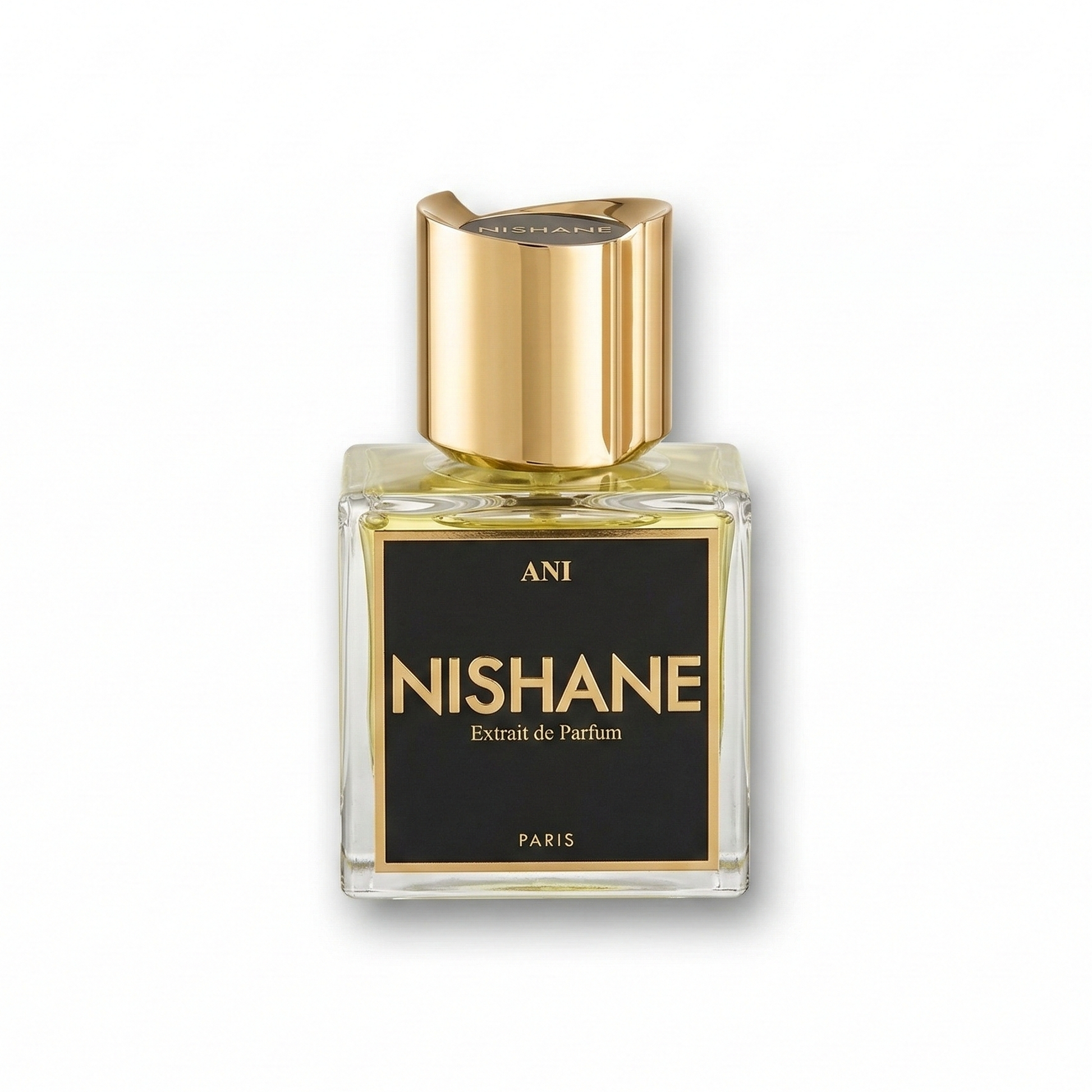 Bottle of Nishane Ani Parfum fragrance on a white background with soft shadow