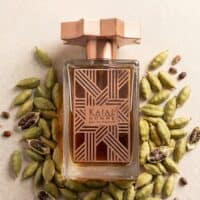 17 Exotic perfume bottle with cardamom pods and seeds for luxury fragrance experience.