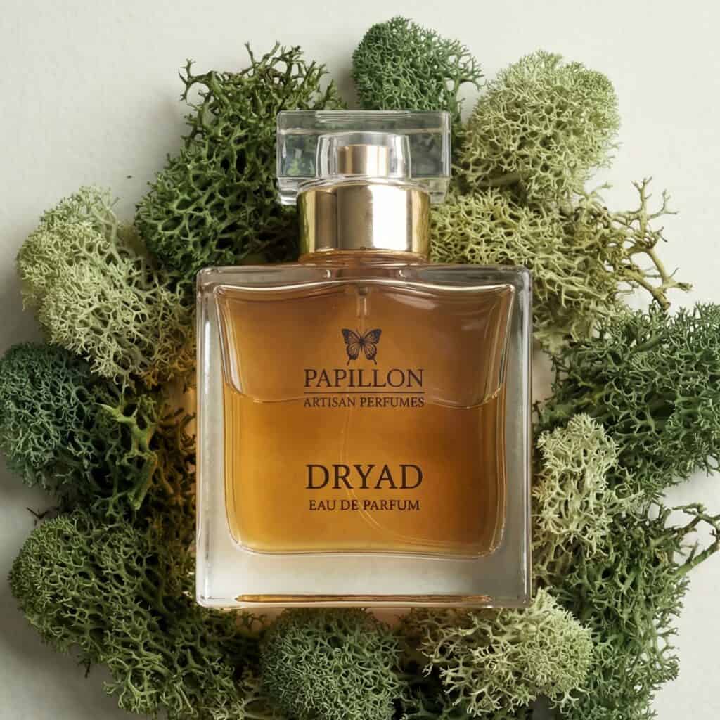 Papillon Dryad - aromatica.one