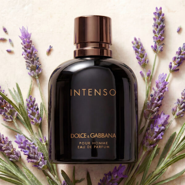 Dolce & Gabbana Intenso