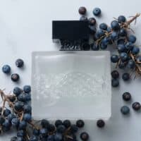 Aromatherapy essential oil bottle surrounded by blueberries and natural elements for wellness.