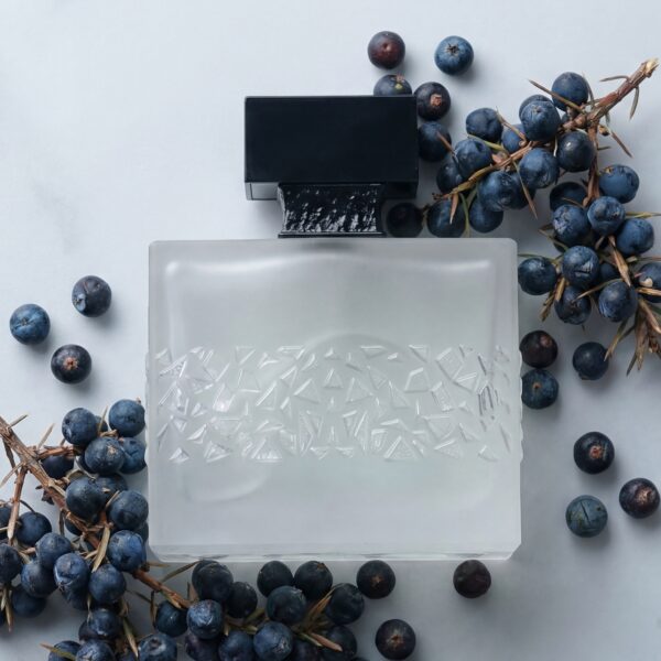 21 M. Micallef Gntonic