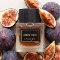 247 Lalique Ombre Noir