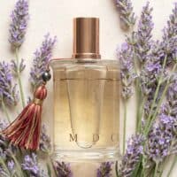 43 Aromatherapy lavender perfume surrounded by fresh lavender flowers for natural scent and relaxation.