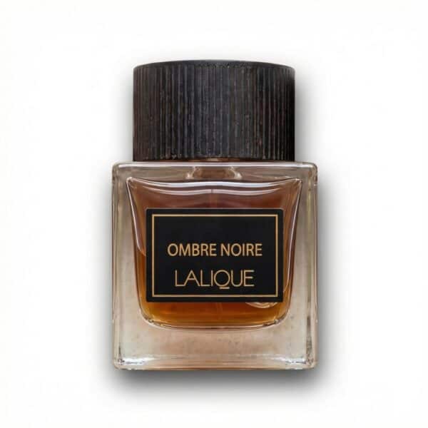 Generated Image January 13, 2026 - 2_31AM Ombre Noir