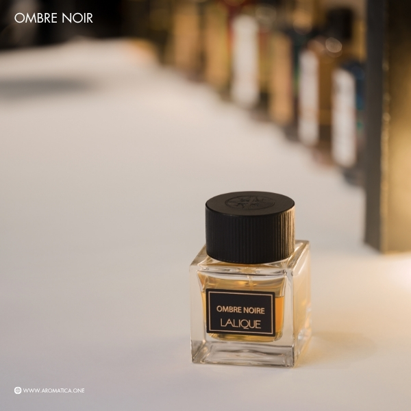 Lalique Ombre Noir Eau de Parfum