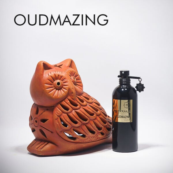 Montale Oudmazing Eau de Parfum