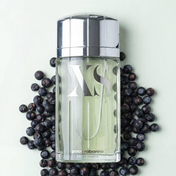 PR (8) Paco Rabanne Excess Pour Homme (Batch 2017)