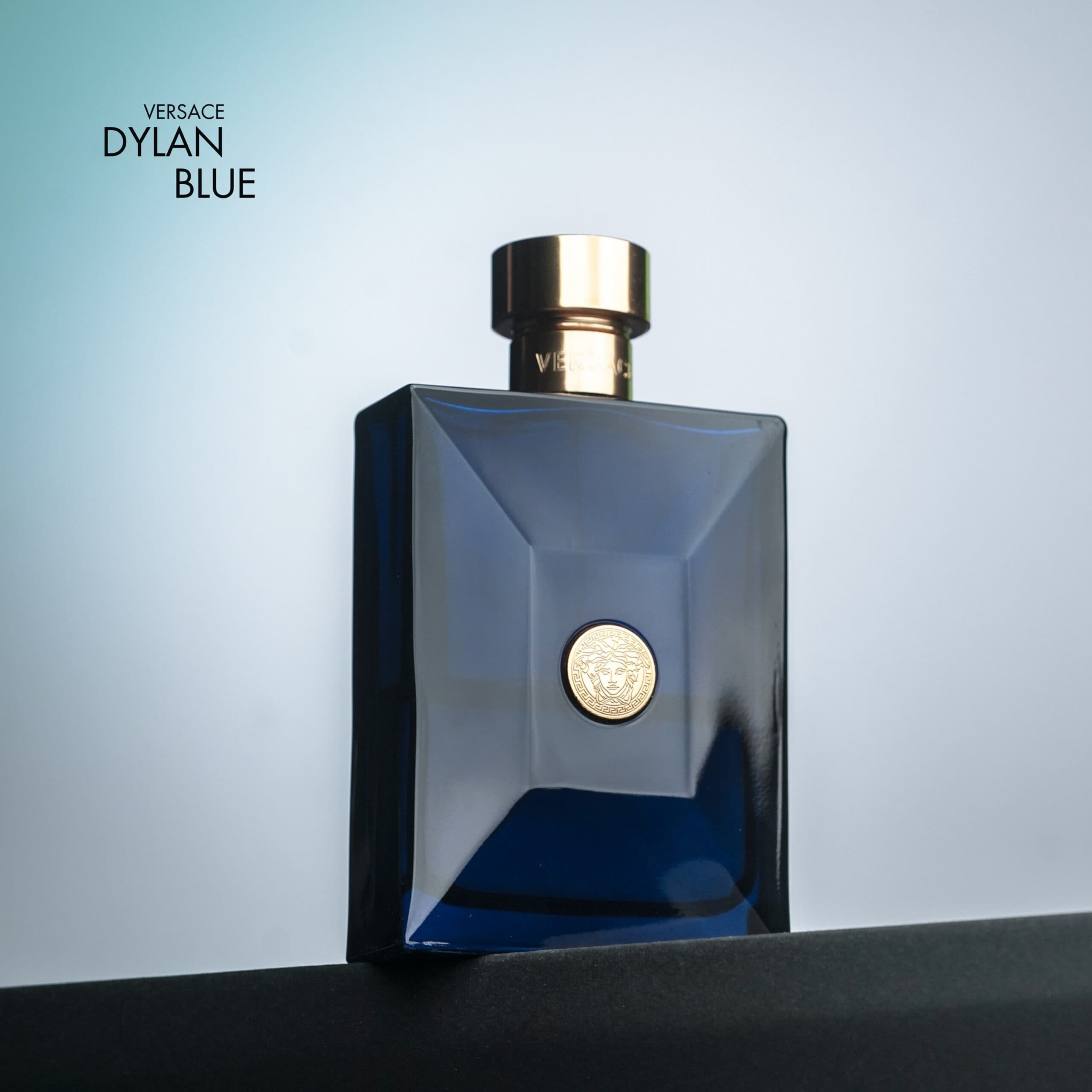 Versace Dylan Blue