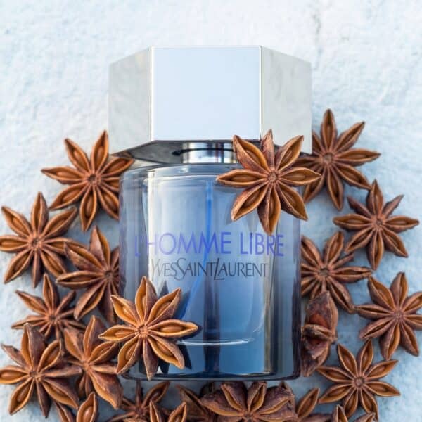 YSL (5) Yves Saint Laurent L’Homme Libre (Batch 2015)