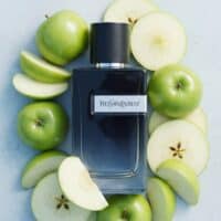 Yves Saint Laurent Y