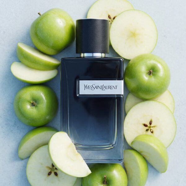 YSL (6) Yves Saint Laurent Y