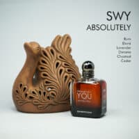 Giorgio Armani Stronger With You Absolutely Eau de Parfum