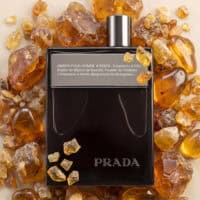 prada (1) Prada Amber Intense (Batch 2019)