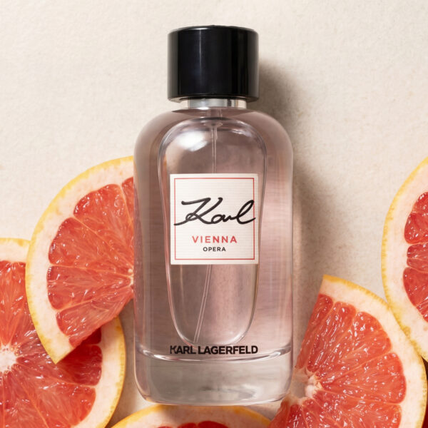243 Karl Lagerfeld Vienna Opera