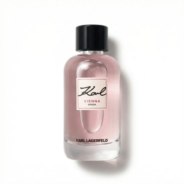 Generated Image January 13, 2026 - 3_08AM Vienna Opera