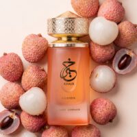 Singles (19) Paris Corner Khair Fusion