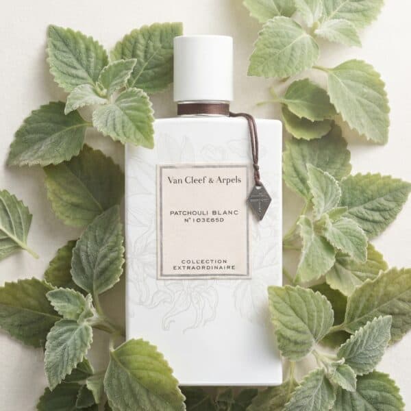 2 Van Cleef & Arpels Patchouli Blanc