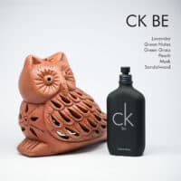 CK BE a 100ml bottle of Calvin Klein CK Be Eau de Toilette with a matte black glass design and black screw cap on a brown table.