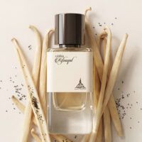 20251214-Generated Image December 14, 2025 - 10_36PM Paris Corner Rifaaqat