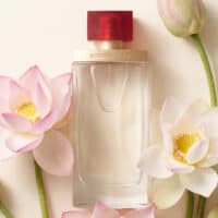 Elizabeth Arden Arden Beauty