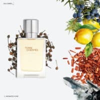 Hermes Terre D’Hermes Eau Givree Eau de Parfum
