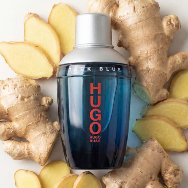 HB (4) Hugo Boss Dark Blue