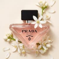 Prada Paradoxe