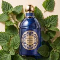 Guerlain (2) Guerlain Patchouli Ardent