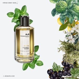 a 120ml bottle of Mancera Cedrat Boise Intense Extrait de Parfum with a gold glass design and black cap