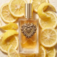 Dolce & Gabbana Devotion