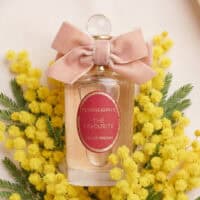 Penhaligon's (7) Penhaligon's The Favourite