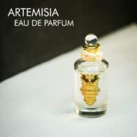 A clear bottle with a cream bow tie of Penhaligon's Artemisia Eau de Parfum with gold font labels.