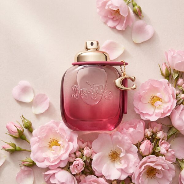 Generated Image December 15, 2025 - 10_30PM Coach Wild Rose