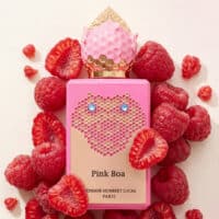 Stéphane Humbert Lucas 777	Pink Boa