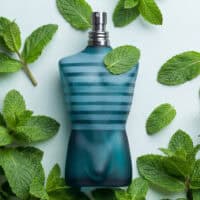 JPG (4) Jean Paul Gaultier Le Male