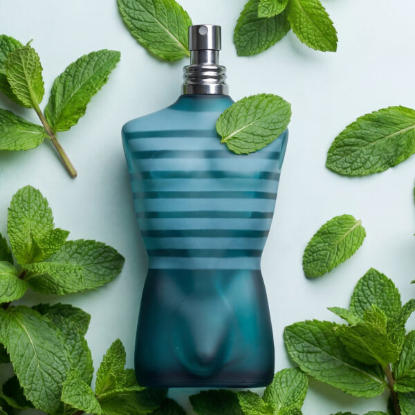 Jean Paul Gaultier Le Male