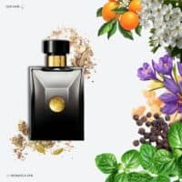 Versace Pour Homme Oud Noir Eau de Parfum