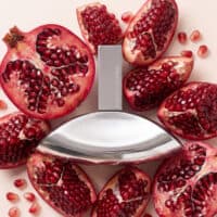 Calvin Klein Euphoria