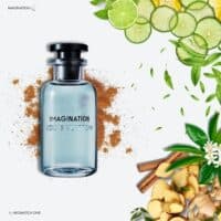 Louis Vuitton Imagination