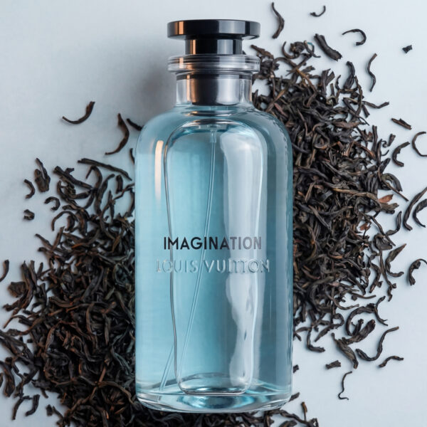 Louis Vuitton Imagination