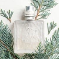 49 Cerruti 1881 Pour Homme