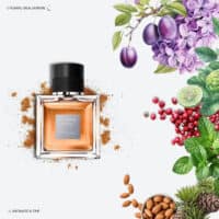 L’HOMME IDEAL EXTREME Guerlain L’Homme Ideal Extreme