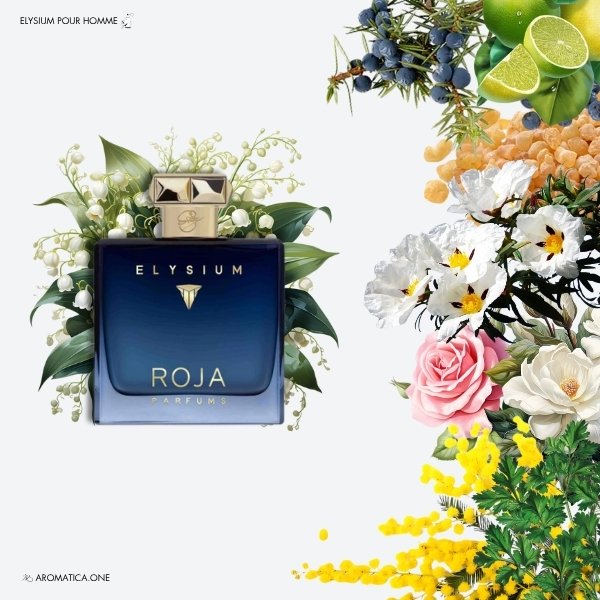 Roja Dove Elysium Pour Homme Parfum Cologne