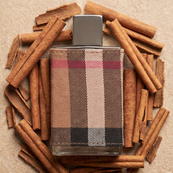 Burberry London for Men