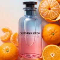 305 Louis Vuitton California Dream